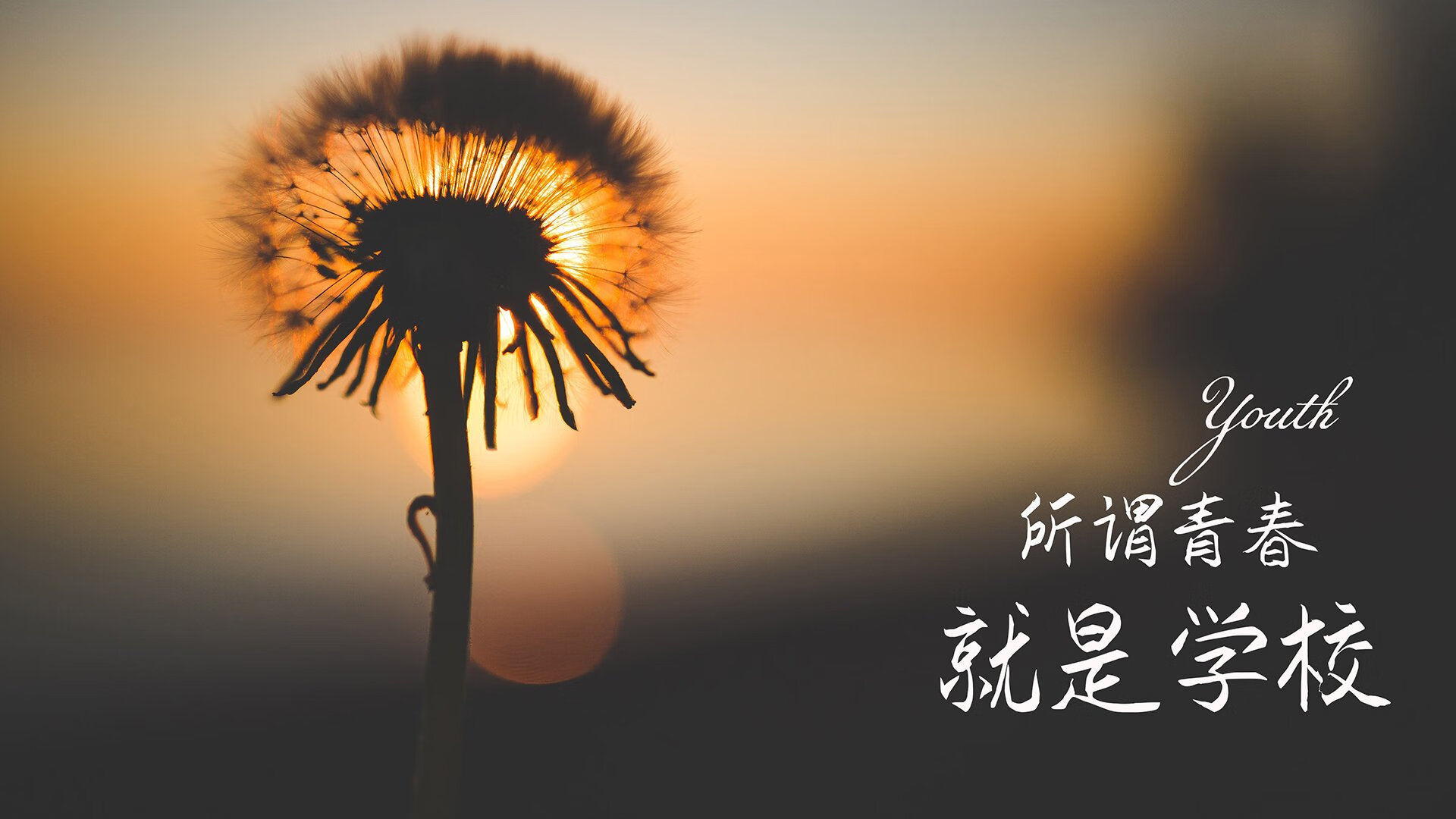 休闲零食包括哪些产品和服务呢(休闲零食大全名称列表)
